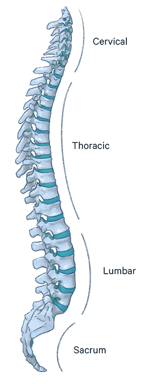 Treatment Coccyx pain  Spine and Orthopedic Specialists: NEO Surgical Group